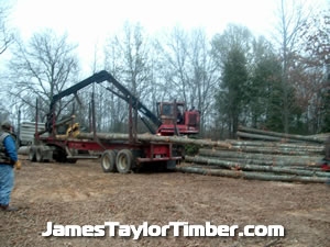 loading log truck in woods east texas